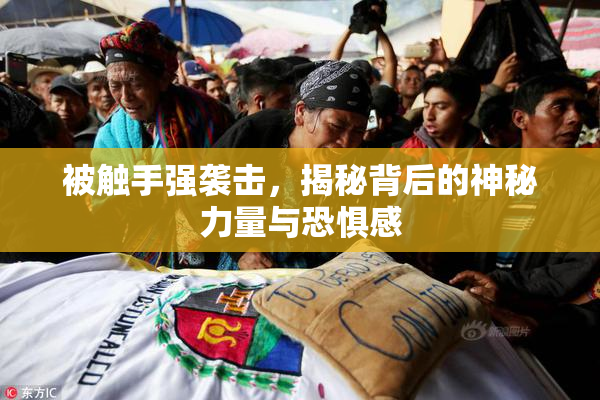 被触手强袭击，揭秘背后的神秘力量与恐惧感