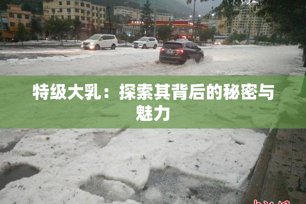 特级大乳：探索其背后的秘密与魅力