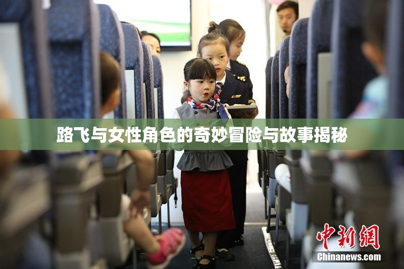 路飞与女性角色的奇妙冒险与故事揭秘