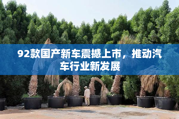 92款国产新车震撼上市，推动汽车行业新发展