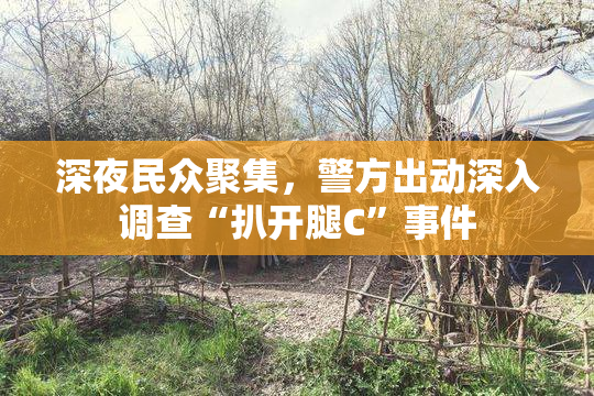 深夜民众聚集，警方出动深入调查“扒开腿C”事件
