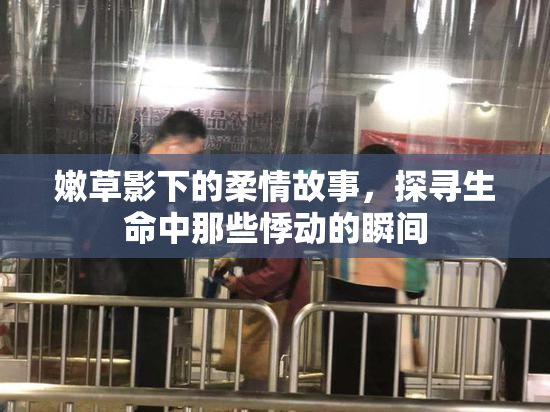 嫩草影下的柔情故事，探寻生命中那些悸动的瞬间
