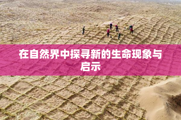 在自然界中探寻新的生命现象与启示