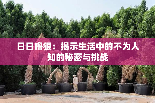 日日噜狠：揭示生活中的不为人知的秘密与挑战