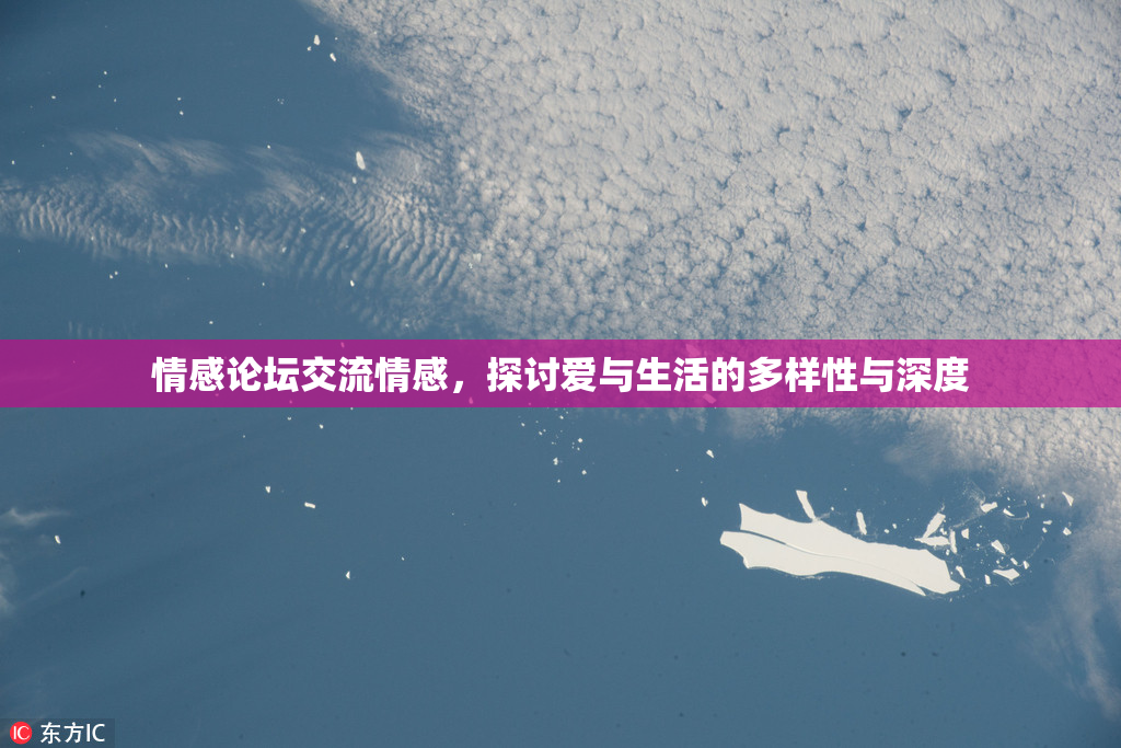 情感论坛交流情感，探讨爱与生活的多样性与深度