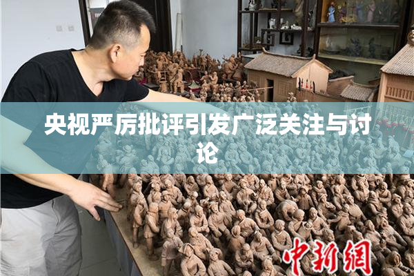央视严厉批评引发广泛关注与讨论