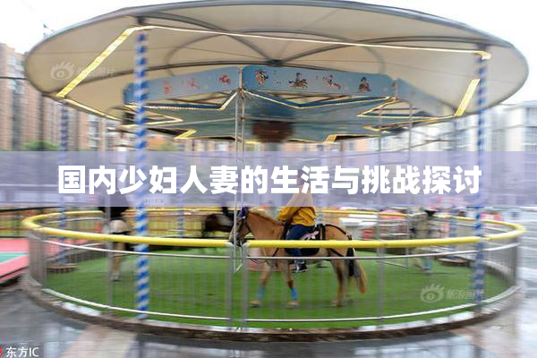 国内少妇人妻的生活与挑战探讨