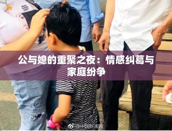 公与媳的重聚之夜：情感纠葛与家庭纷争
