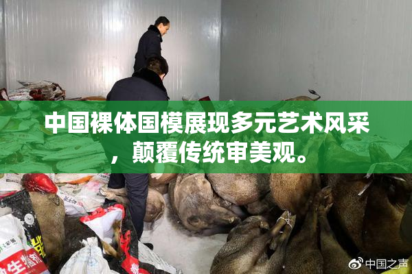 中国裸体国模展现多元艺术风采，颠覆传统审美观。