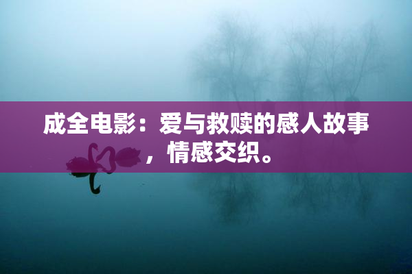 成全电影：爱与救赎的感人故事，情感交织。
