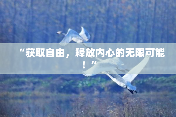 “获取自由，释放内心的无限可能！”