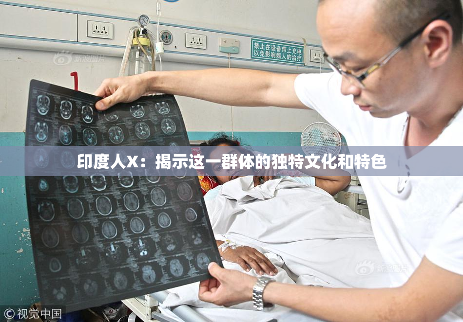 印度人X：揭示这一群体的独特文化和特色