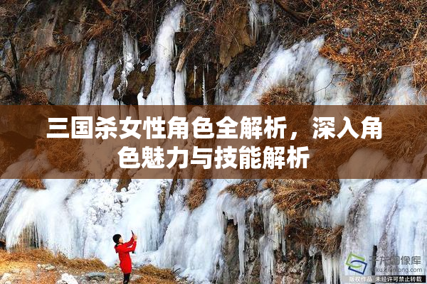 三国杀女性角色全解析，深入角色魅力与技能解析