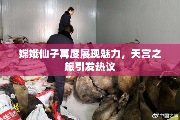 嫦娥仙子再度展现魅力，天宫之旅引发热议