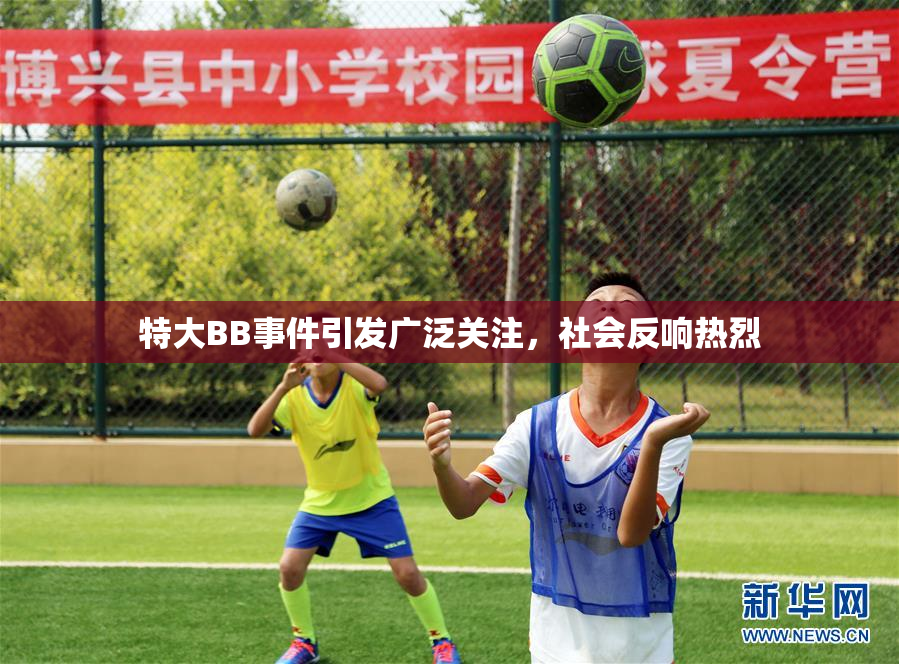 特大BB事件引发广泛关注，社会反响热烈