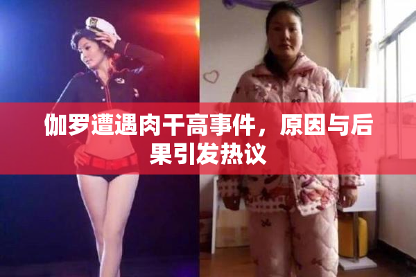 伽罗遭遇肉干高事件，原因与后果引发热议