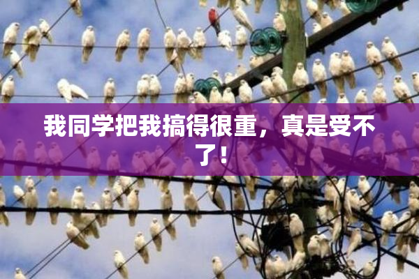 我同学把我搞得很重，真是受不了！
