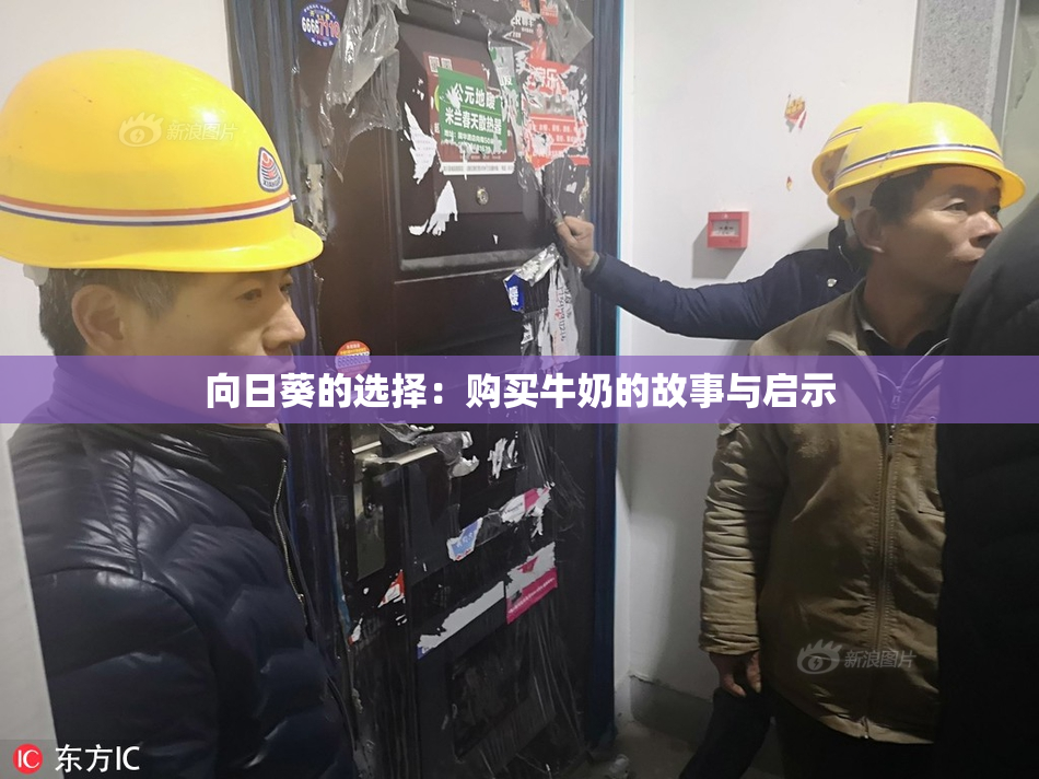 向日葵的选择：购买牛奶的故事与启示