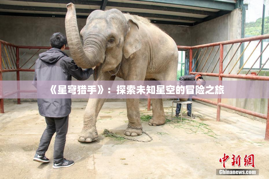 《星穹猎手》：探索未知星空的冒险之旅