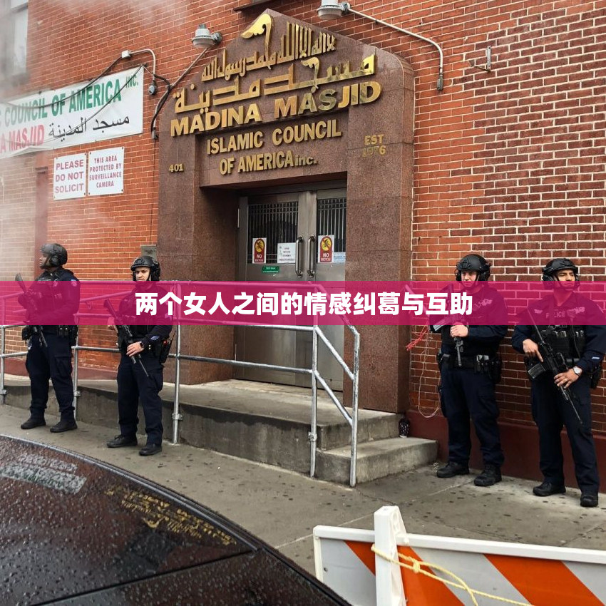 两个女人之间的情感纠葛与互助