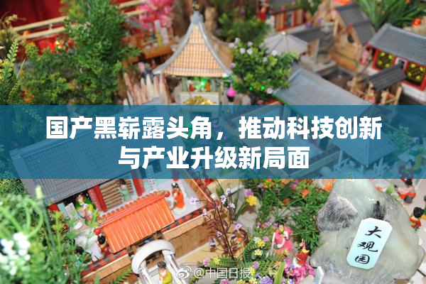 国产黑崭露头角，推动科技创新与产业升级新局面