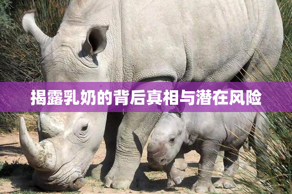 揭露乳奶的背后真相与潜在风险