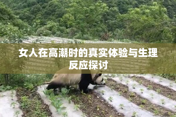 女人在高潮时的真实体验与生理反应探讨