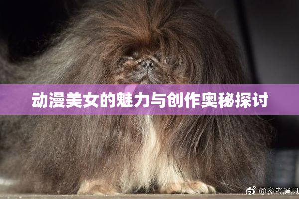 动漫美女的魅力与创作奥秘探讨