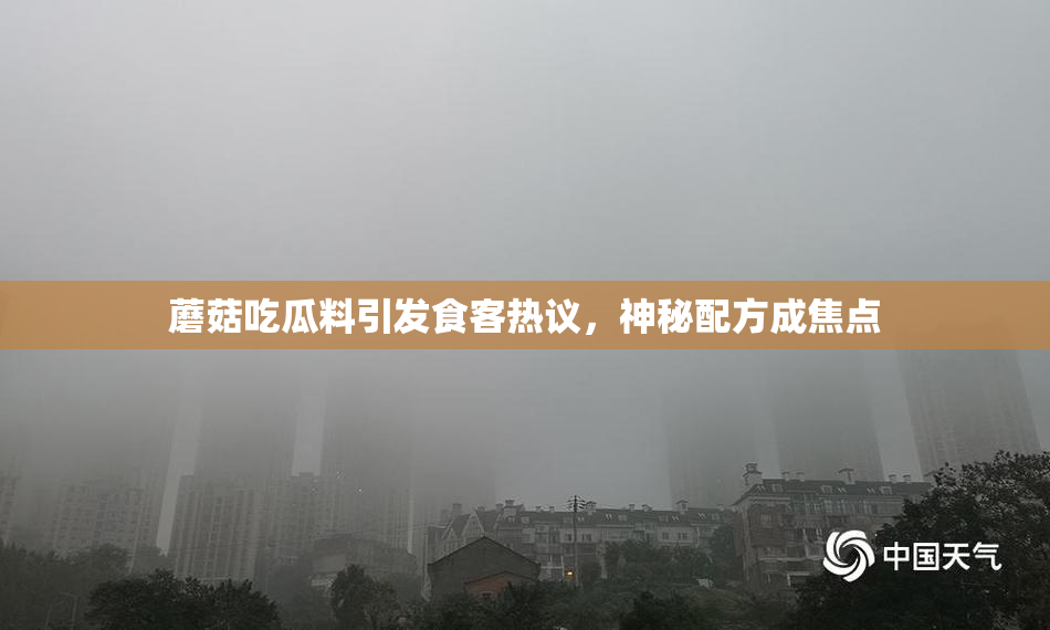 蘑菇吃瓜料引发食客热议，神秘配方成焦点