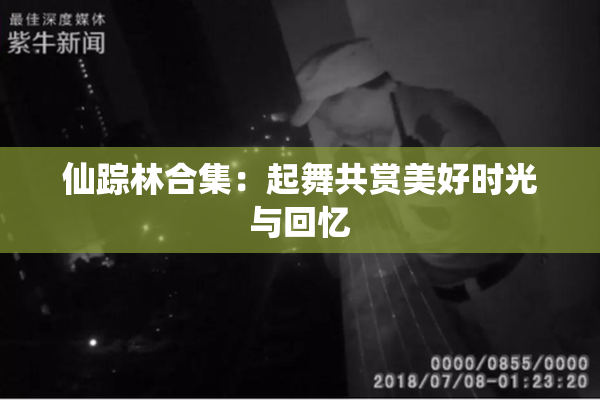 仙踪林合集：起舞共赏美好时光与回忆