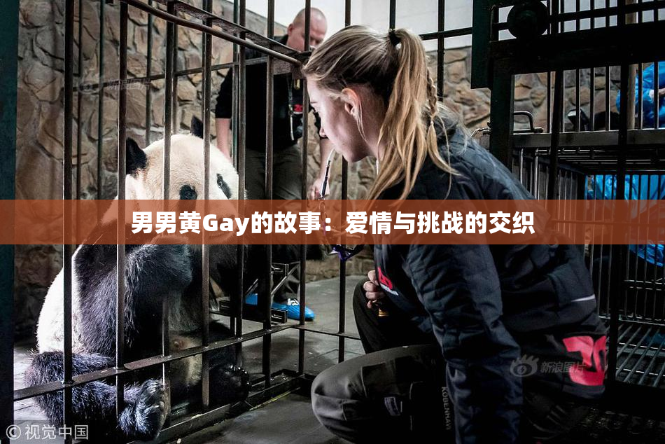 男男黄Gay的故事：爱情与挑战的交织