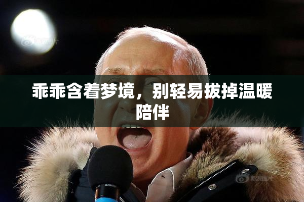 乖乖含着梦境，别轻易拔掉温暖陪伴