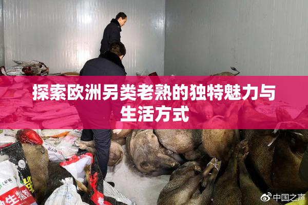 探索欧洲另类老熟的独特魅力与生活方式