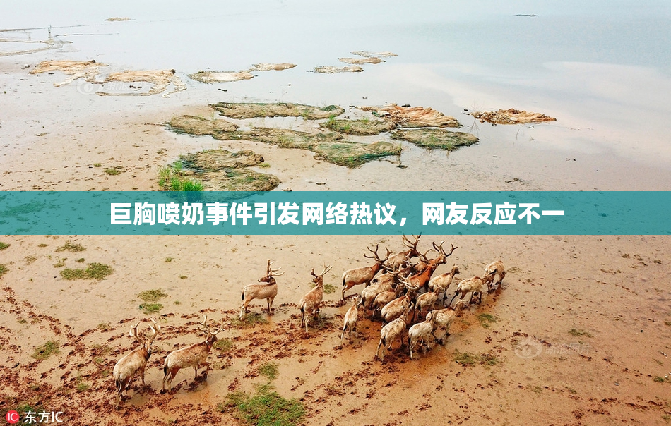 巨胸喷奶事件引发网络热议，网友反应不一