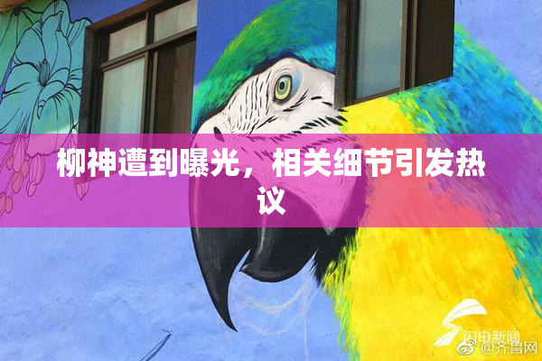 柳神遭到曝光，相关细节引发热议