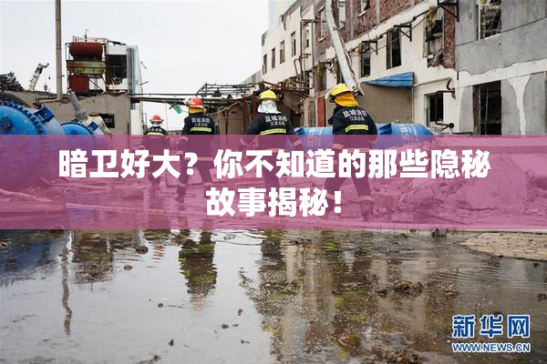 暗卫好大？你不知道的那些隐秘故事揭秘！