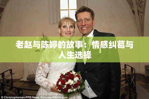 老赵与陈婷的故事：情感纠葛与人生选择