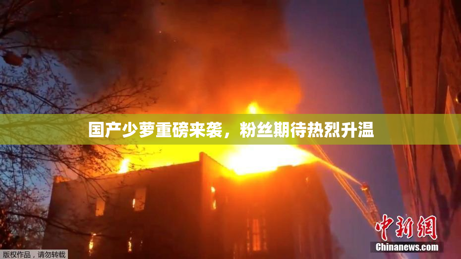 国产少萝重磅来袭，粉丝期待热烈升温