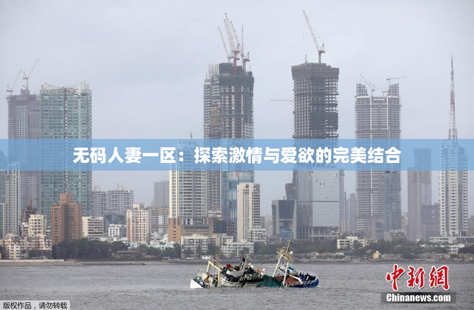 无码人妻一区：探索激情与爱欲的完美结合