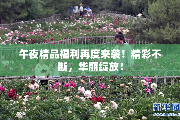 午夜精品福利再度来袭！精彩不断，华丽绽放！