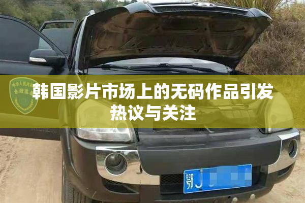 韩国影片市场上的无码作品引发热议与关注