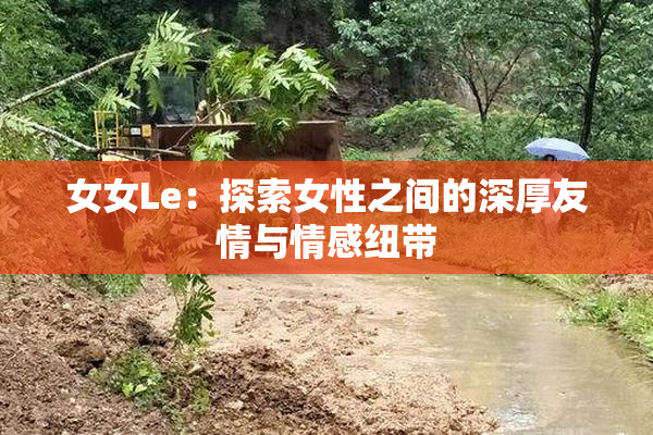 女女Le：探索女性之间的深厚友情与情感纽带