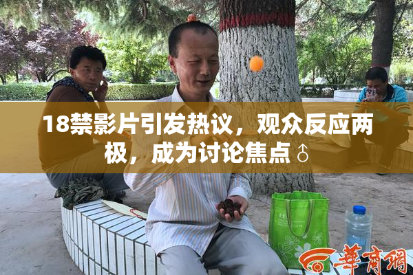 18禁影片引发热议，观众反应两极，成为讨论焦点♂