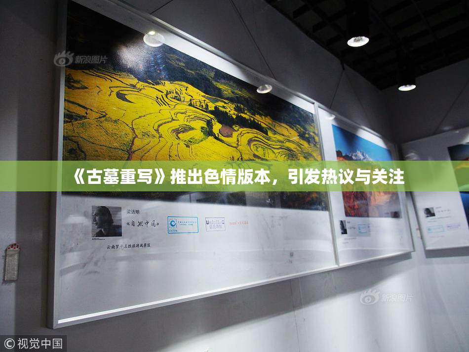 《古墓重写》推出色情版本，引发热议与关注