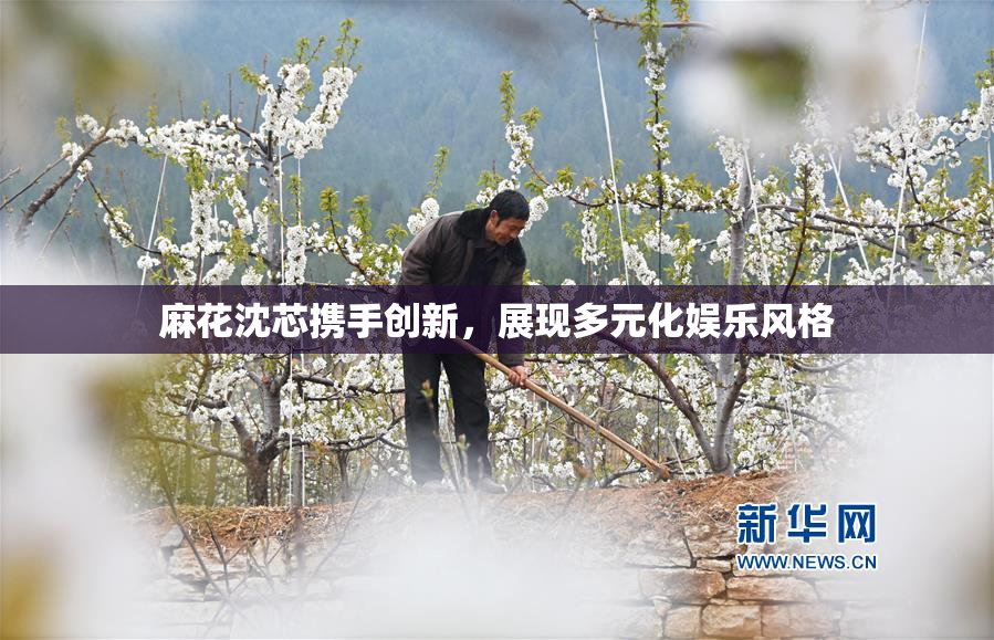麻花沈芯携手创新，展现多元化娱乐风格