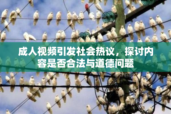 成人视频引发社会热议，探讨内容是否合法与道德问题
