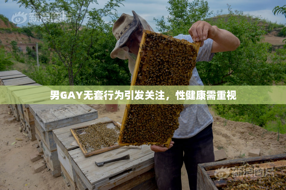 男GAY无套行为引发关注，性健康需重视