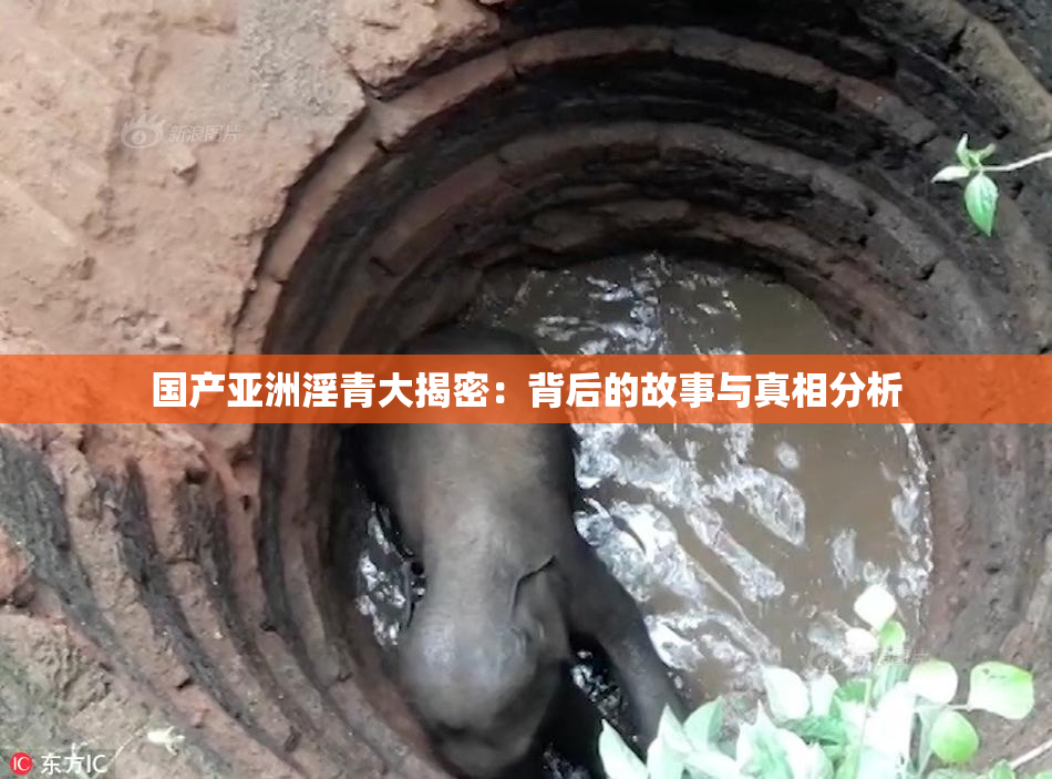 国产亚洲淫青大揭密：背后的故事与真相分析