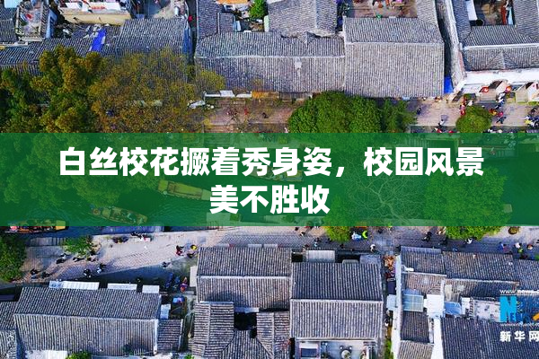 白丝校花撅着秀身姿，校园风景美不胜收