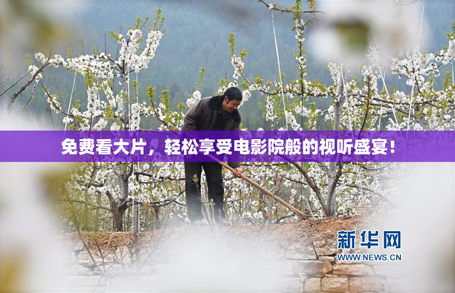 免费看大片，轻松享受电影院般的视听盛宴！